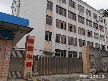 尊龙人生app2025 评价高的功能调节电吹风开关批发生产厂